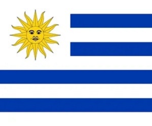 Diseño de Manualidades en Uruguay