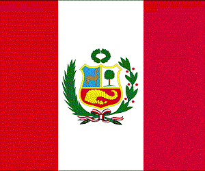 Gestión de Comercio Electronico en Perú